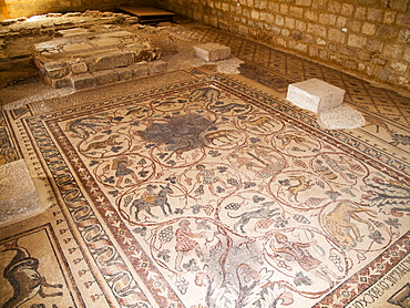 Middle East, Jordan, Lot and Procopio Mosaics, near Mont Nebo, a hidden mosaic of extraordinary beauty