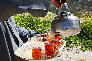 Middle East, Jordan, Bedouin hospitality, the tea