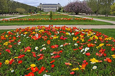 Jardin des Plantes botanical garden, Paris, Ile-de-France, France, Europe