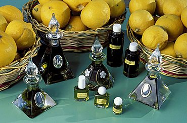 S.Gregorio, Reggio Calabria, bergamot oil