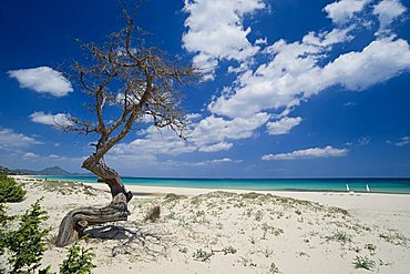 Costa Rei, Muravera, Castiadas, Provincia di Cagliari, Sardinia, Italy, Europe