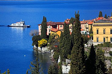 Cypress, Varenna, Como lake, Lombardy, Italy