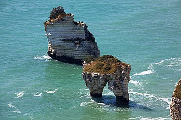 Stacks, Zagare Bay, Coast between Mattinata and Vieste, Gargano Promontory, Gargano National Park, Puglia, Italy