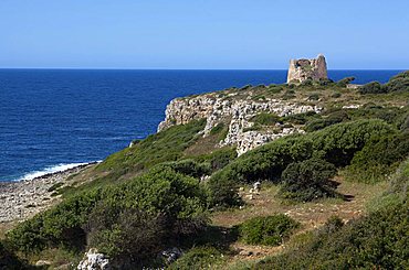 Uluzzo tower, Parco di Porto Selvaggio e Palude del Capitano, Nardv=, Salento, Puglia, Italy