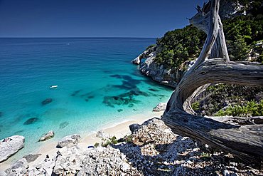 Cala Goloritzè beach, Baunei (OG), Sardinia, Italy, Europe