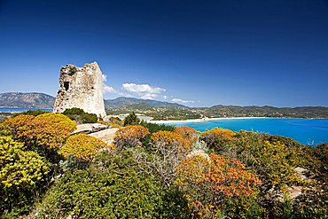 Porto Giunco bay, Villasimius (CA), Sardinia, Italy, Europe