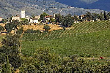 Cantina Rocca dei Fabbri, Montefalco, Umbria, Italy, Europe