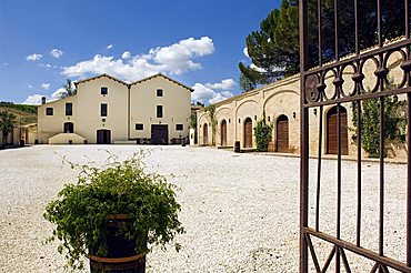 Cantine Scacciadiavoli, Montefalco, Umbria, Italy, Europe