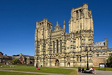 Cathedral Church of Saint Andrew, Wells, Somerset, England, United Kingdom, Europe