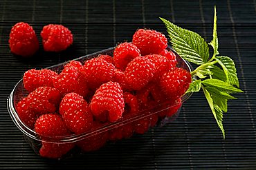 Raspberries fruits, Trentino Alto Adige, Italy, Europe