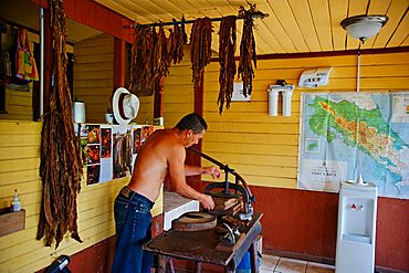 Cigars factory, Republic of Costa Rica, Central America