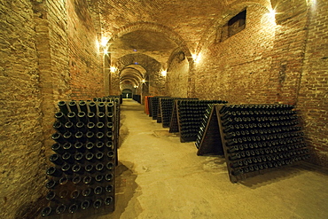 Bosca underground wine cathedral in Canelli, Asti, Piedmont, Italy, Europe