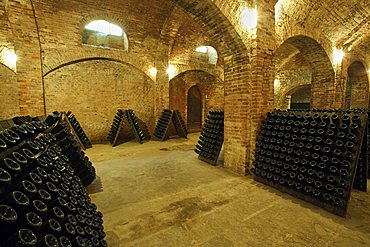 Bosca underground wine cathedral in Canelli, Asti, Piedmont, Italy, Europe