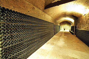 Bosca underground wine cathedral in Canelli, Asti, Piedmont, Italy, Europe