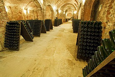 Bosca underground wine cathedral in Canelli, Asti, Piedmont, Italy