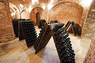 Bosca underground wine cathedral in Canelli, Asti, Piedmont, Italy, Europe