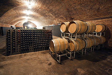 Contratto underground wine cathedral in Canelli, Asti, Piedmont, Italy, Europe