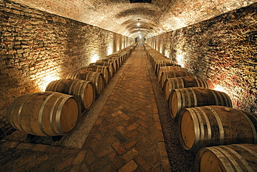 Contratto underground wine cathedral in Canelli, the barrels made by oak wood and named "barriques" where the wine is maturing, Asti, Piedmont, Italy, Europe