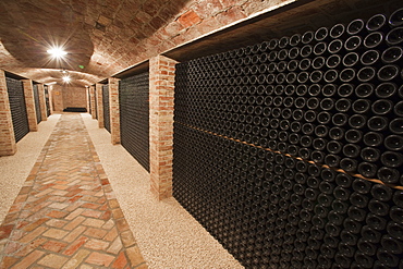 Contratto underground wine cathredral in Canelli, Asti, Piedmont, Italy, Europe