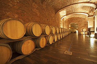 Gancia underground wine cathedral in Canelli, the barrels made by oak wood and named "barriques" where the wine is maturing, Asti, Piedmont, Italy, Europe