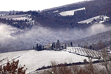 Foreshortening, Chianti country,Tuscany,Italy, Europe