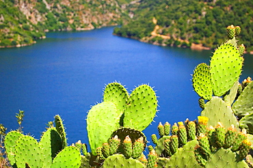 Lake Flumendosa, Villagrande Strisaili, Ogliastra, Sardinia, Italy, Europe