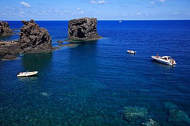 Sea stuck, Ustica, Ustica island, Sicily, Italy