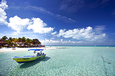 Isla Mujeres, Yucatan, Mexico, America