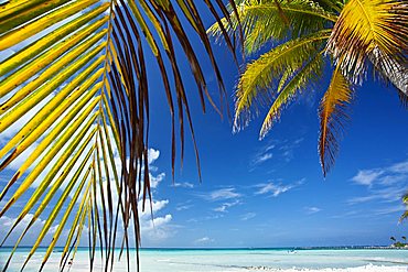 Isla Mujeres, Yucatan, Mexico, America
