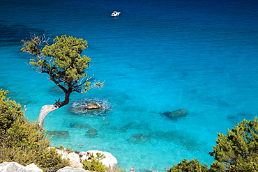 Cala Goloritzvû, Baunei (OG), Sardinia, Italy, Europe