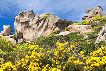 Rock, Capo Testa, Santa Teresa Gallura (OT), Sardinia, Italy, Europe