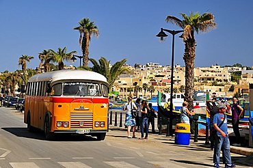 Harbour, Marsaxlokk, Malta, Europe