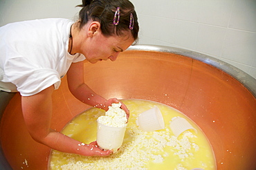 Anna Pecoraro controlling the cheese lavoration, Tomaselli dairy, Strigno, Valsugana, Trentino Alto Adige, Italy, Europe