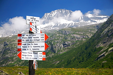 Table trail, Adamello-Brenta Natural Park, Fumo Valley, Val di Daone, Valli Giudicarie, Trentino Alto Adige, Italy, Europe