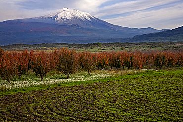 Countryside and Etna volcano, Sicily, Italy