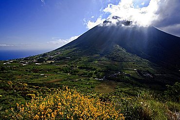 Landscape, Terzito, Salina Island, Aeolian Islands, Sicily, Italy