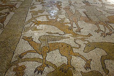 Mosaic, Cathedral, Otranto, Salento, Apulia, Italy