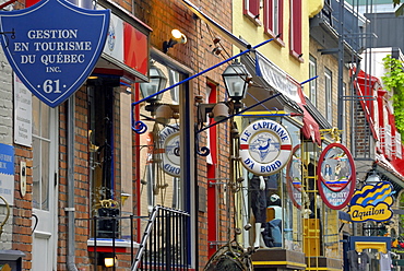 Rue de Buade, Quebec City, Capitale-Nationale, Quebec, Canada, North America