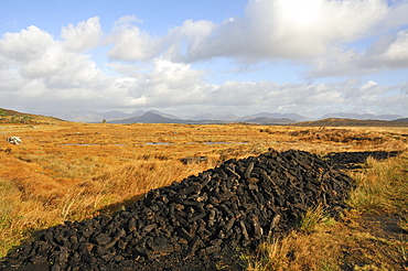 Drying of peat, Connemara, County Galway, Connacht, Republic of Ireland, Europe