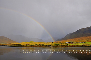 Killary Harbour, Connemara, County Galway, Connacht, Republic of Ireland, Europe