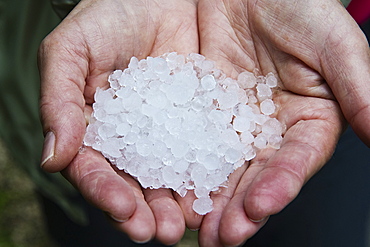 hand with hailstone, cres island, croatia