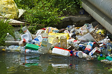 rubbish along the nesa stream, nese, italy