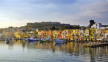 Procida island harbour, Procida island, Naples, Campania, Italy, Europe