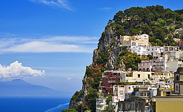 Capri houses,Capri island,Naples,Campania,Italy,Europe.