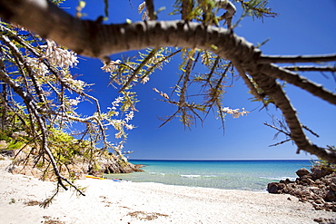 Chia beach, Monte Cogoni, Campana, Chia, Domus De Maria (CA), Sardinia, Italy, Europe