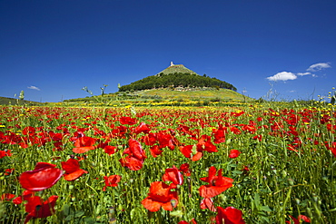 Las Plassas castle, Las Plassas, Marmilla, Medio Campidano (VS), Sardinia, Italy, Europe