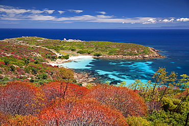 Cala Ponzesi beach, Cala Sabina, Asinara island, Porto Torres, Sardinia, Italy, Europe