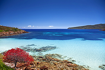 Cala Ponzesi beach, Cala Sabina, Asinara island, Porto Torres, Sardinia, Italy, Europe