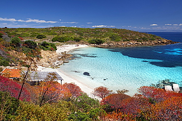 Cala Ponzesi beach, Cala Sabina, Asinara island, Porto Torres, Sardinia, Italy, Europe