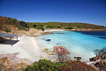 Cala Ponzesi beach, Cala Sabina, Asinara island, Porto Torres, Sardinia, Italy, Europe